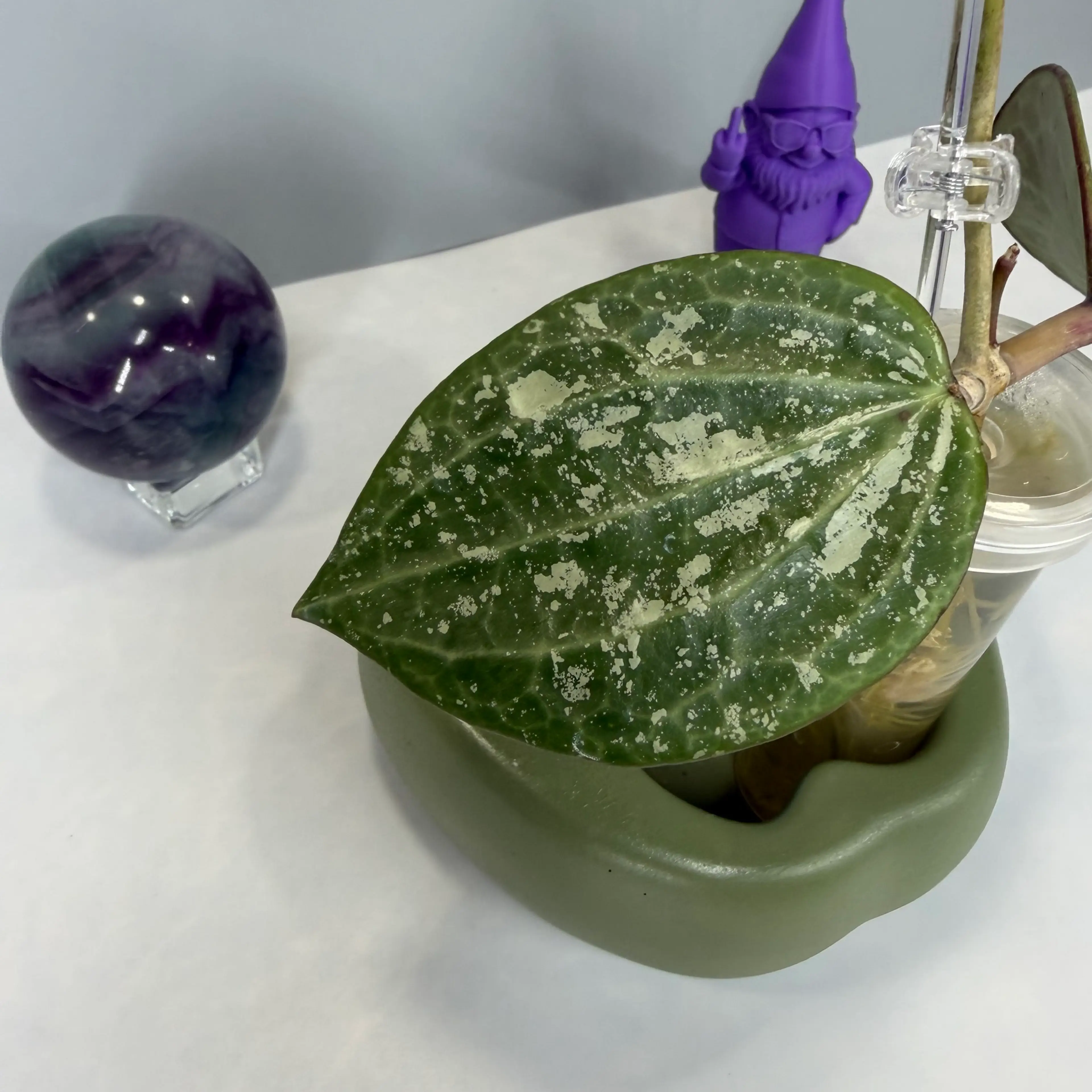 Image 4 of 5
