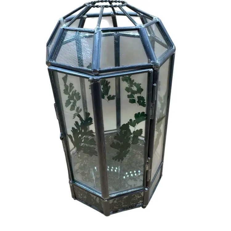 glass terrarium, commonly known as a Wardian case, designed for displaying plants and succulents