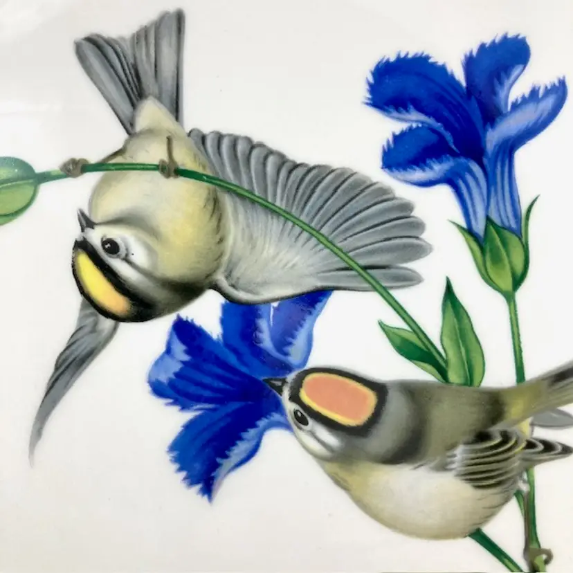 Golden Crowned Kinglets with Fringed Gentian American Song Birds Collector Plate