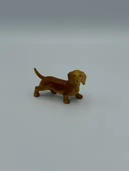 Dachshund Dog