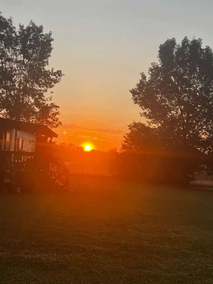 Boxes And Bins Let’s Clear Them Out.  All Kinds Of Random Goodies Christmas, Owls, Decor, Glasswares, Etc If It Rains I May Have To Reschedule 
