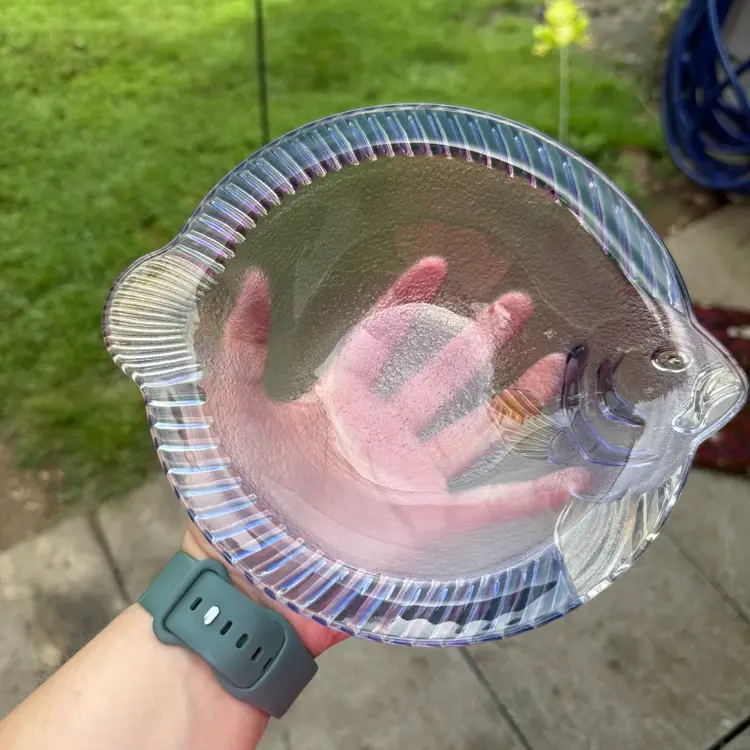 Art Glass Clear Aurora Borealis Textured Fish Bowl Trinket Dish Catchall Beach