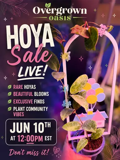 Hoyas Make People Happy 