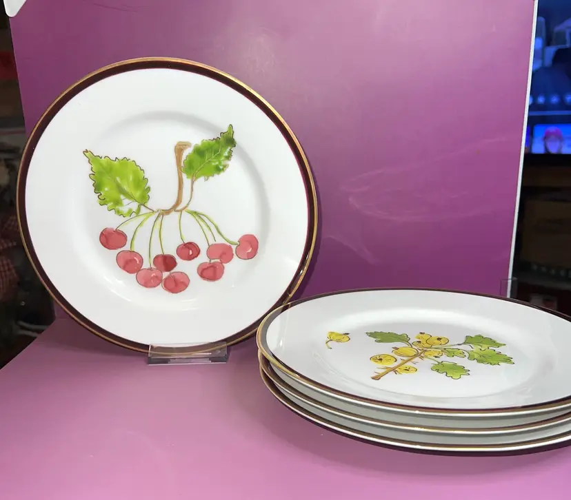 Set Of Four Crate & Barrel Berries Salad Plates 8 1/4”