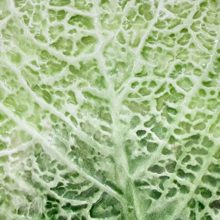 Vintage Italian Pottery Cabbage Leaf 11.5” Platter Plate Ceramiche Leonardo