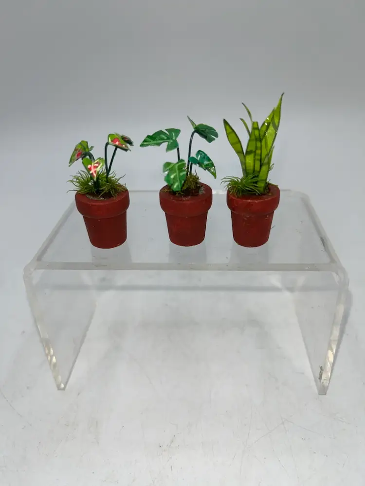 Handcrafted Miniature Dollhouse Size Tropical House Plant Set Of 3