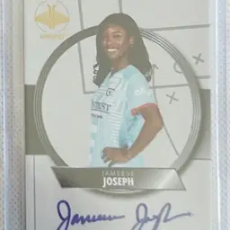 Jameese Joseph Auto