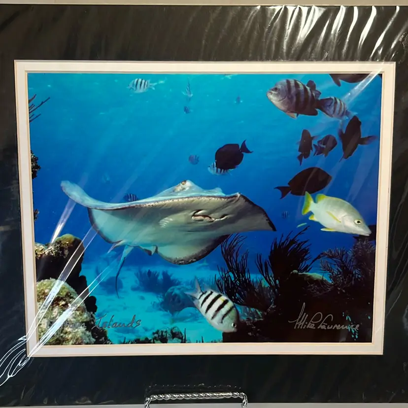 Mike Lawrence Signed Photograph Cayman Sea Creatures 