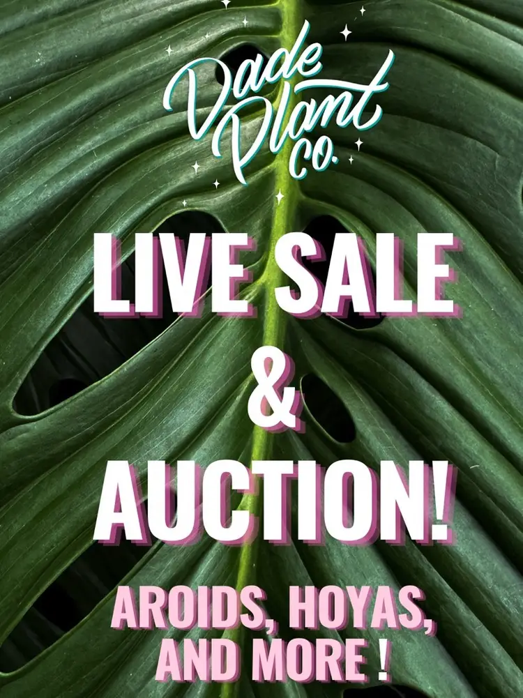 Live Sale & Auction! 