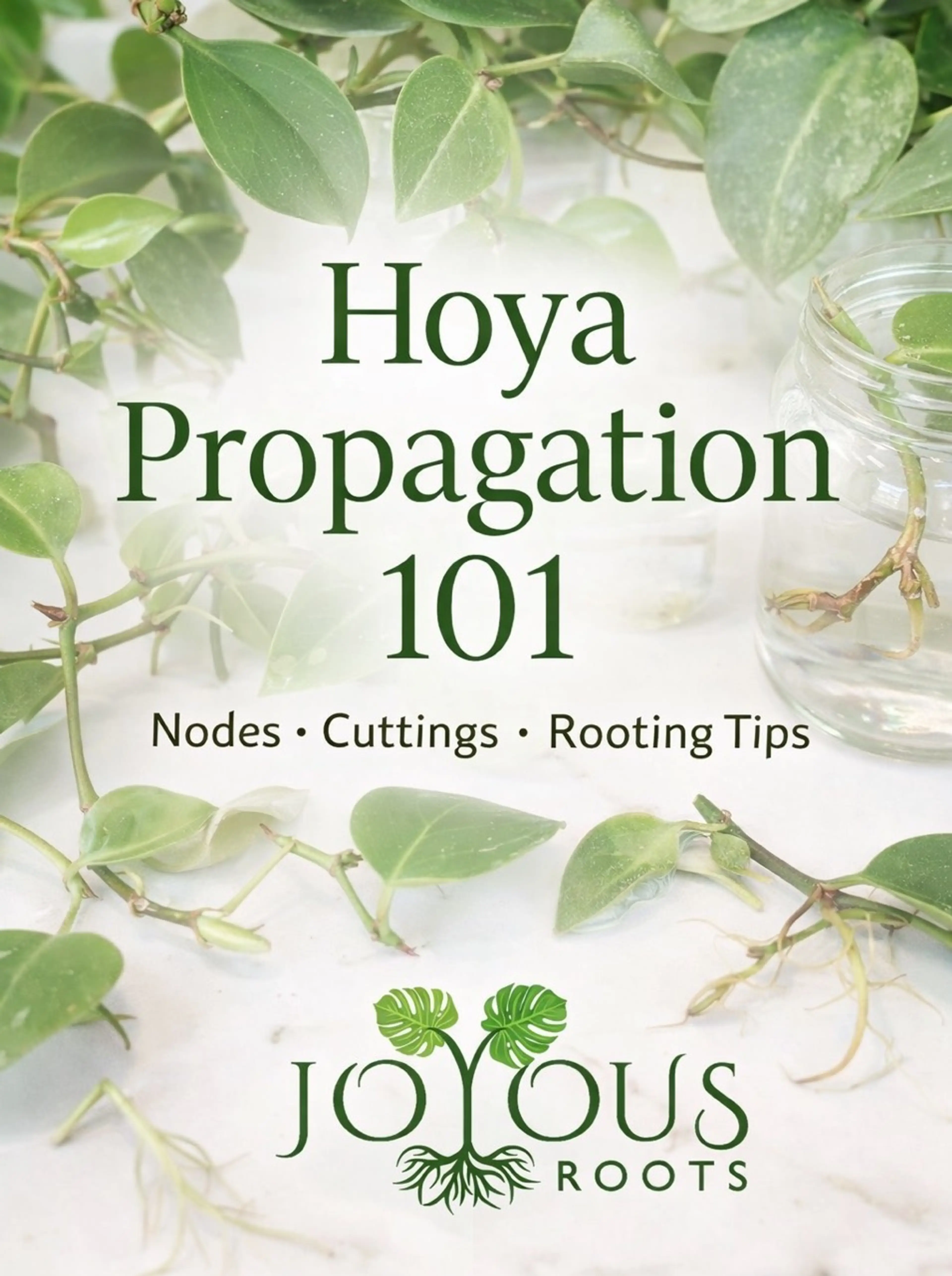 Prop It Like It’s Hottt