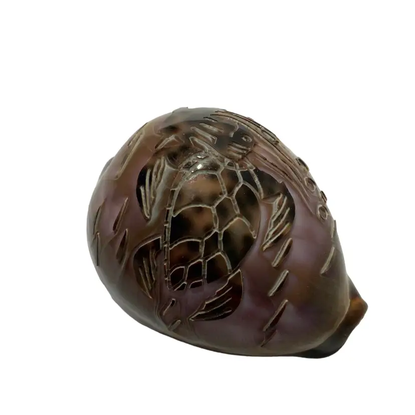 #5 - Vintage Handcrafted Carved Natural Cowrie Shell - Turtle Design