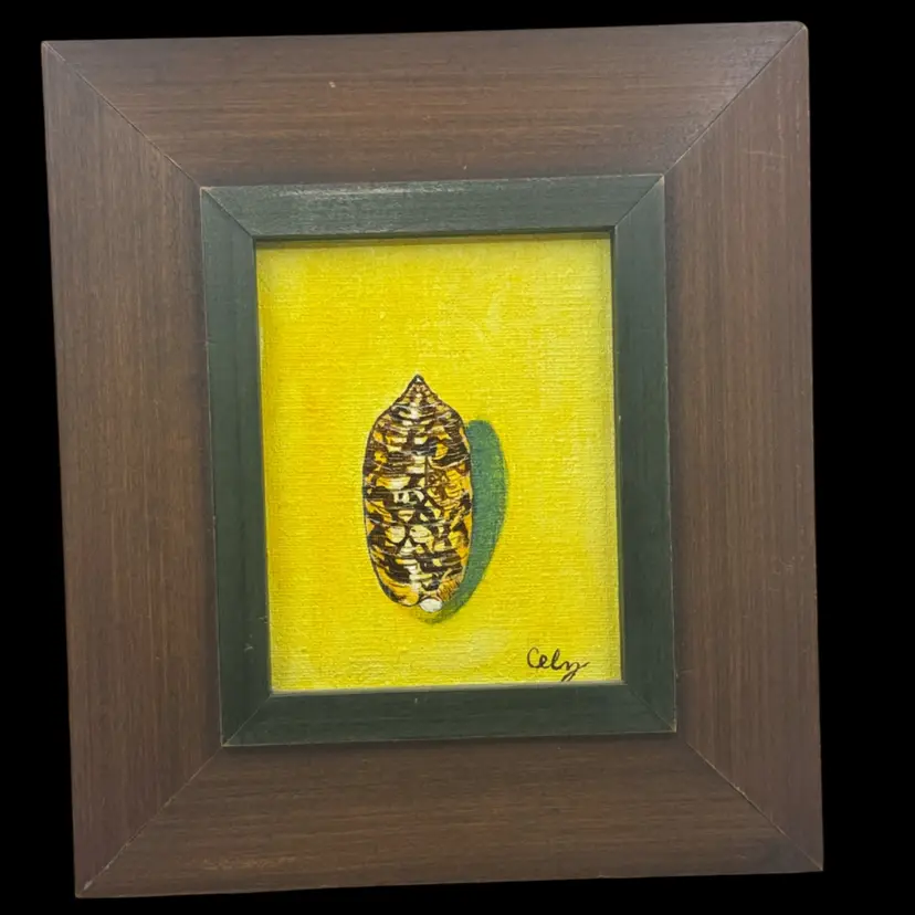 Vintage Framed Original Painting, Signed By Artist,Of A Seashell
