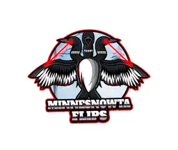minnesnowtaflips