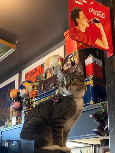 🎉🍾1k Sold Celebration Tuesday Night With Vintiquity!!!!