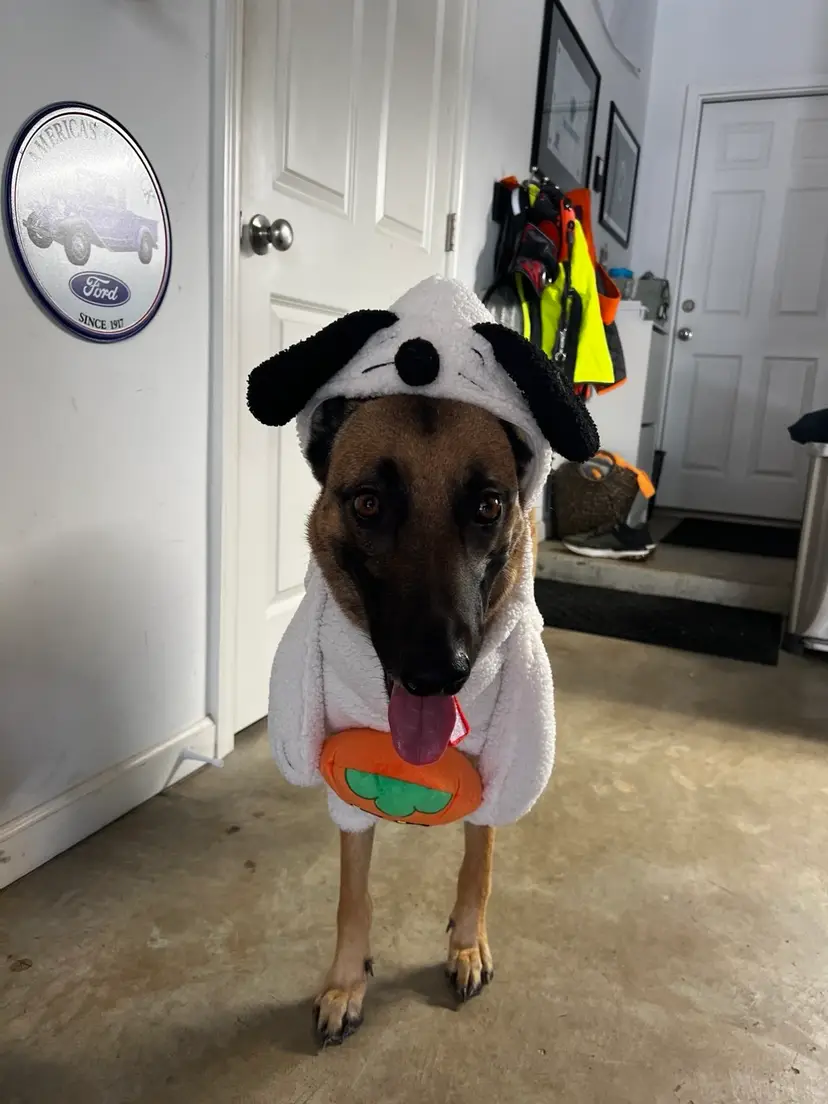 Livestream thumbnail