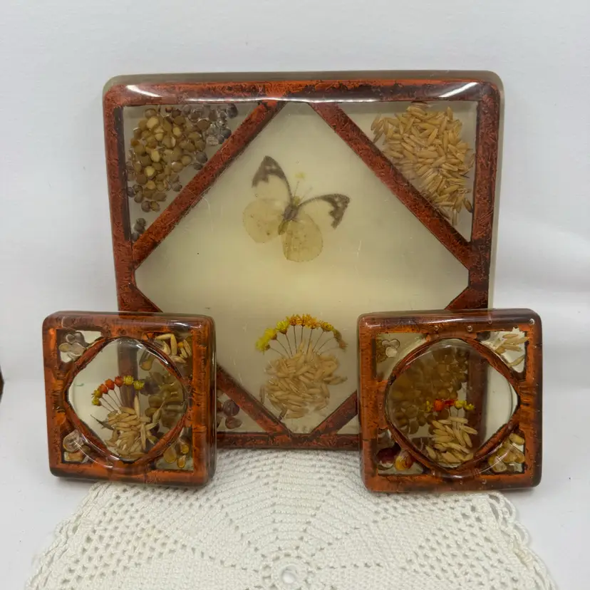 Vintage Mid-Century Modern resin trivet and coasters with embedded butterfly, seeds, and flowers. Scuffs On Trivet As Shown