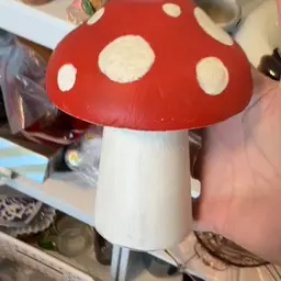 Mushroom