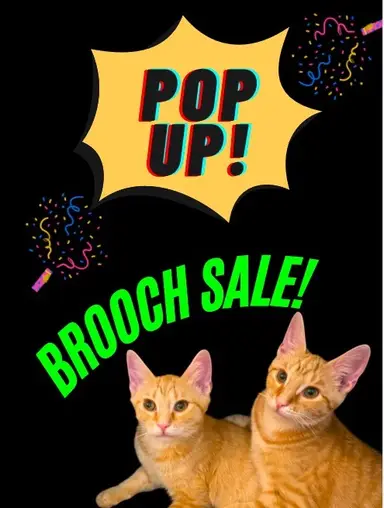 Pop Up: Jewelry Brooch Sale