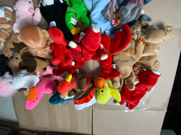 21 Beanie Babies Collectible Lot - #7018