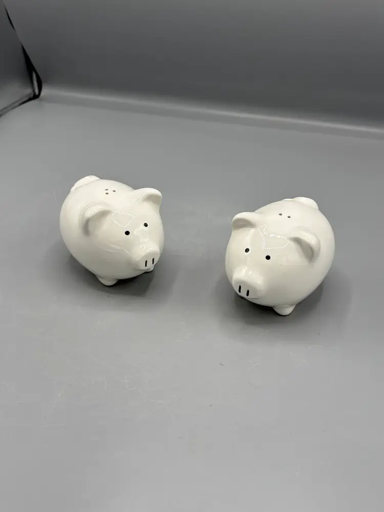 Ceramic pig salt & pepper