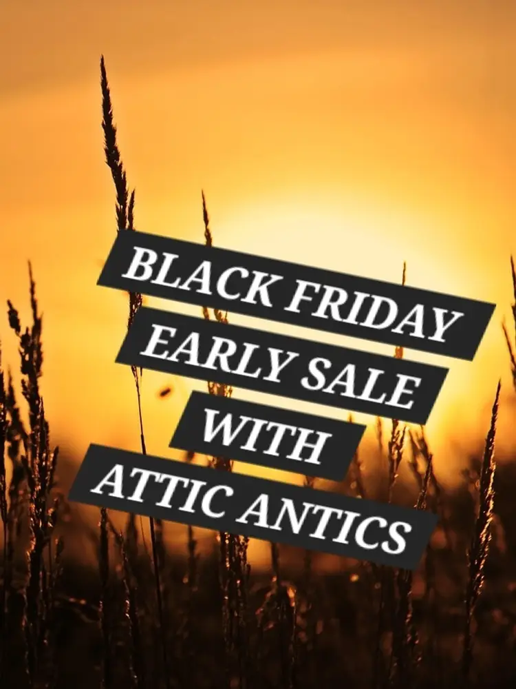 Start Your Black Friday Shopping! 10 Quick Items with Attic Antics