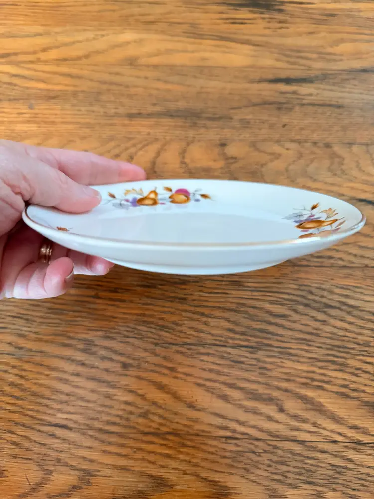 Vintage Royal Taunton Autumn Fruit Plate – 6 Inch | Pear & Apple Design | Japan Porcelain