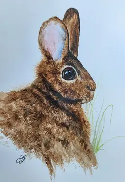 Bunny Original Watercolor Painting Signed By The Artist 5x7