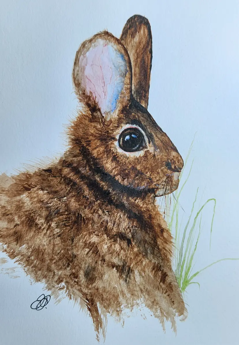 Bunny Original Watercolor Painting Signed By The Artist 5x7
