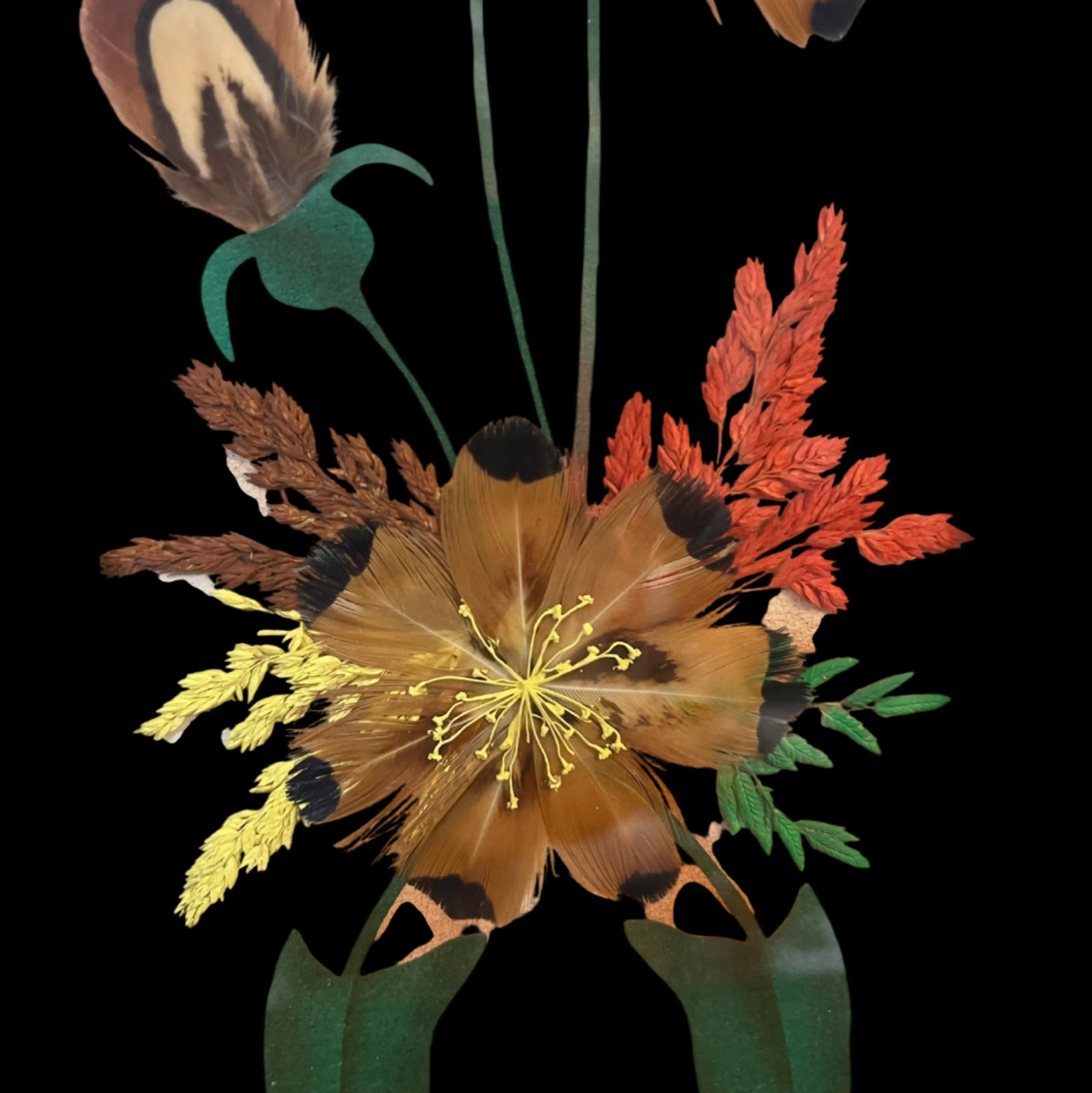 Image 5 of 10