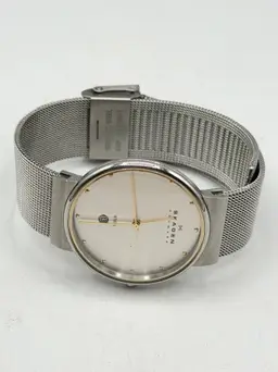 Skagen Classic Men's Watch 355LGSC