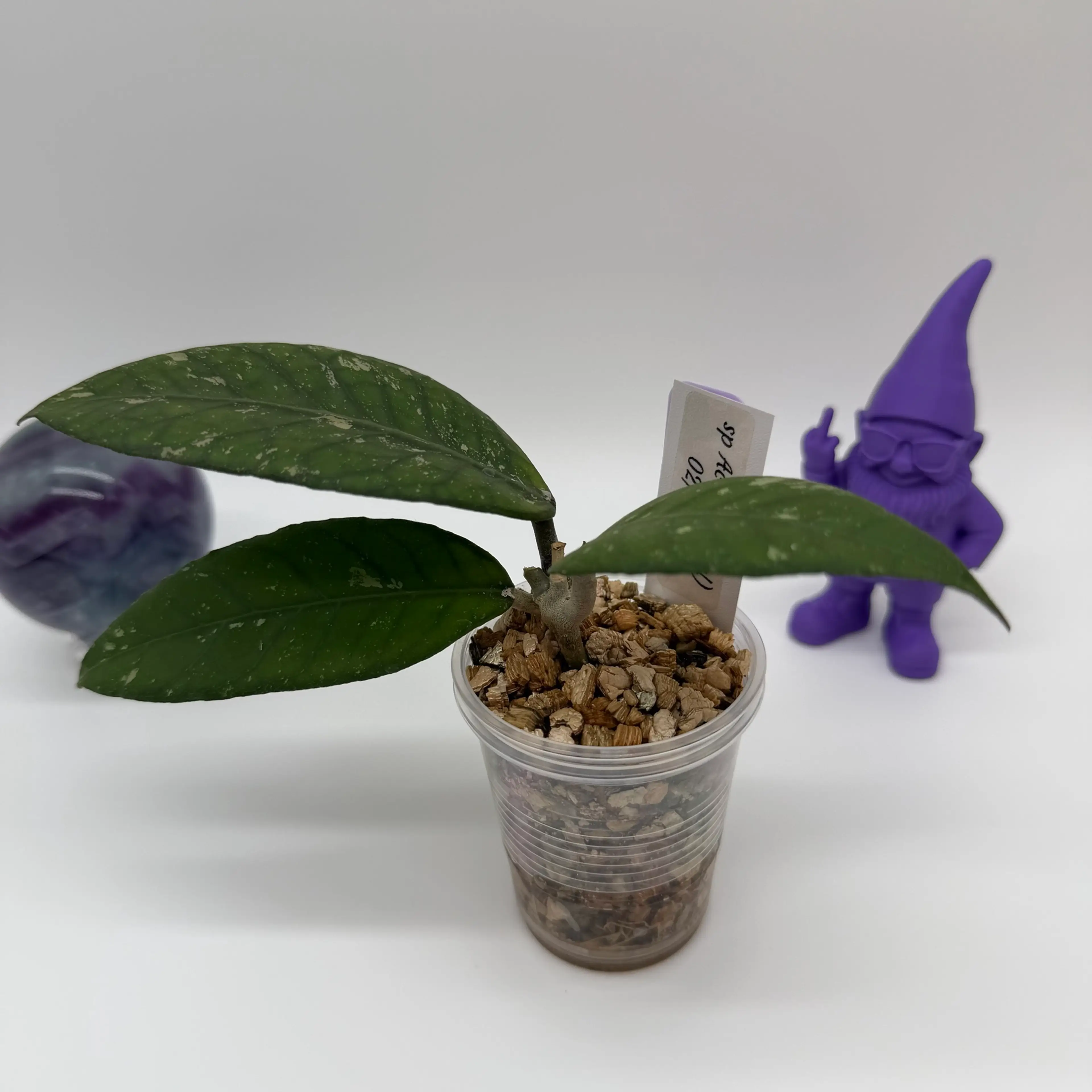 Image 3 of 3