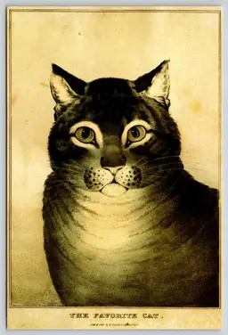 Postcard The Favorite Cat Art Nathaniel Currier Felis catus 1996 - 13598