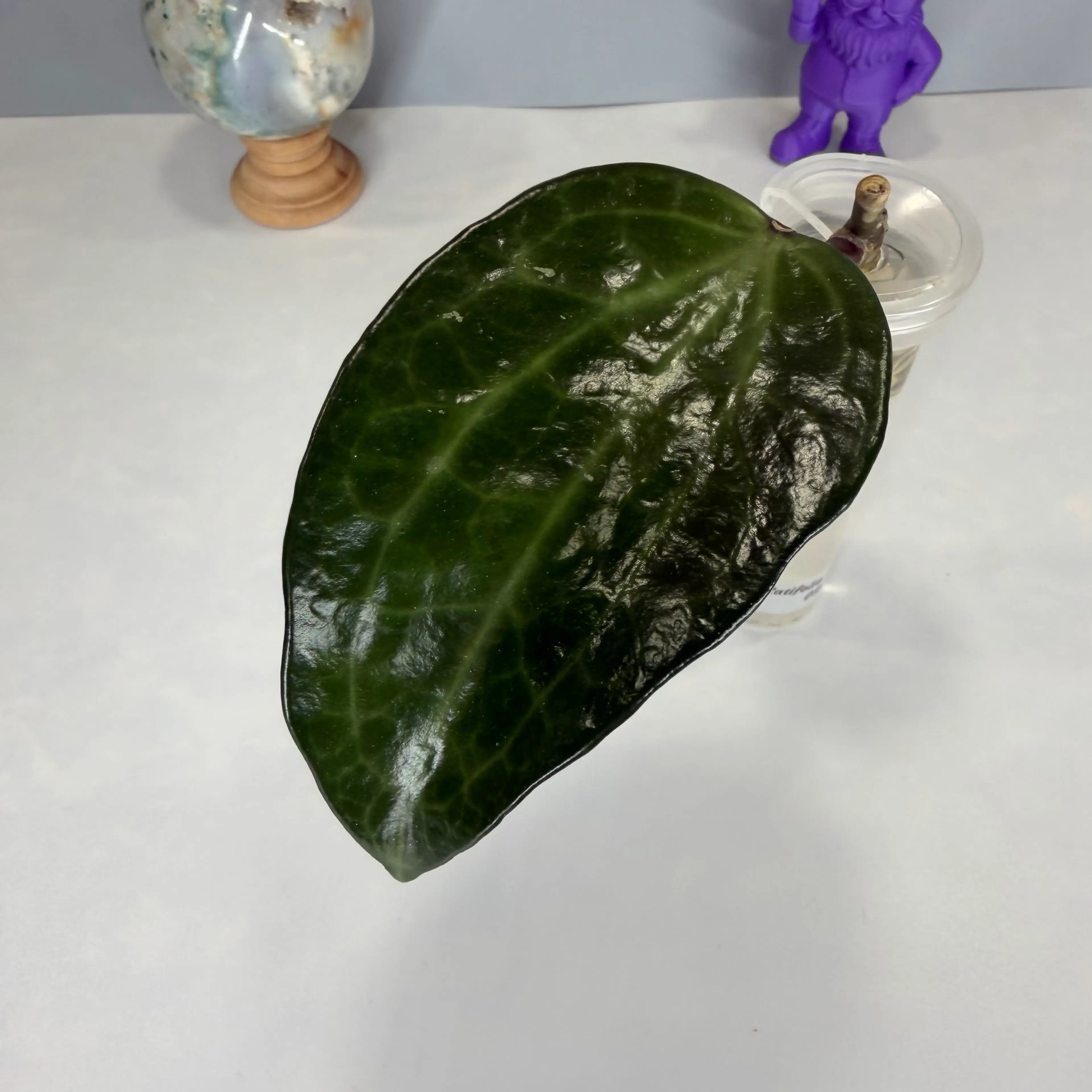 Image 2 of 2