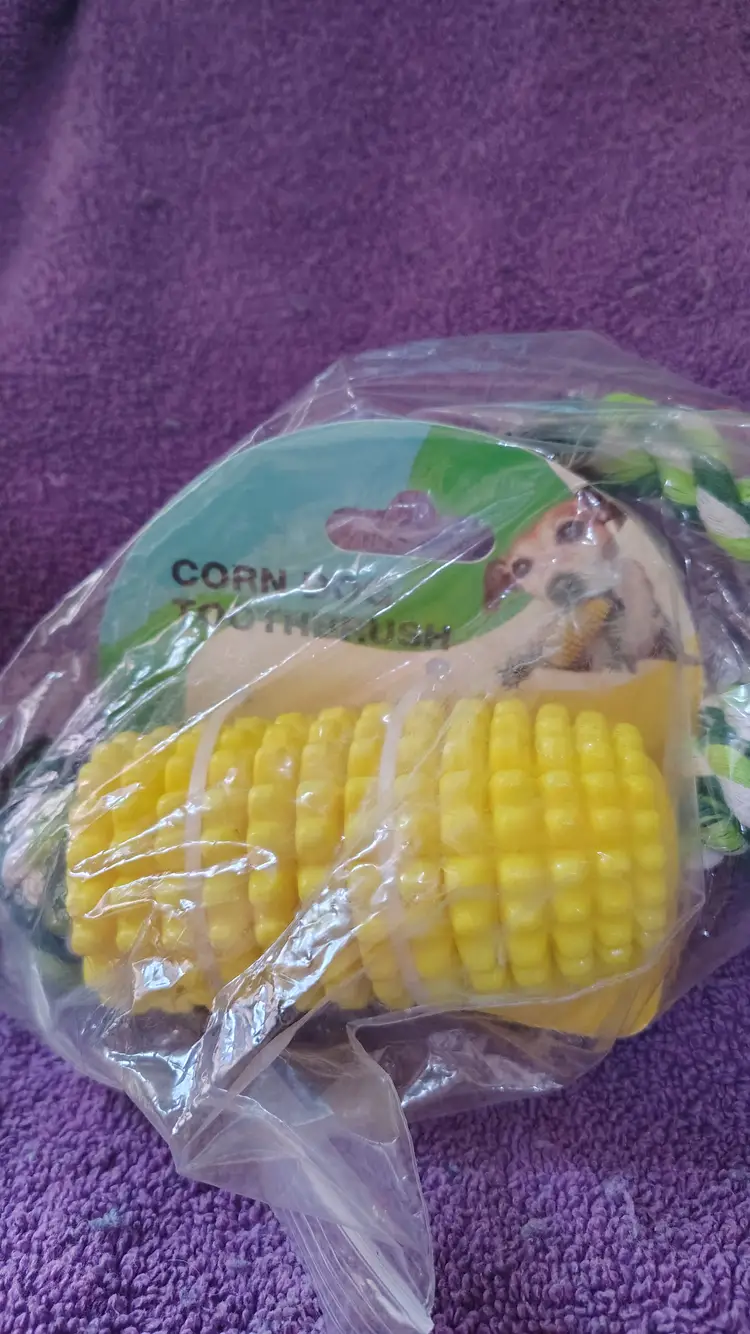 Corn dog toothbrush toy