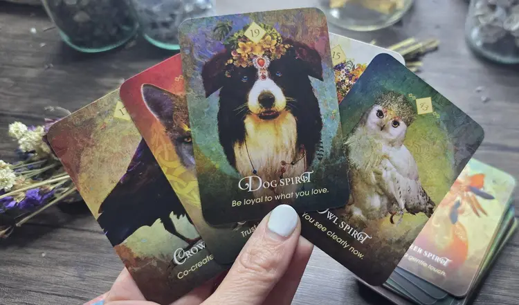 The Spirit Animal Oracle - Pocket Version in Tin Box