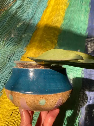 First Ever Pot Sale On OvO!