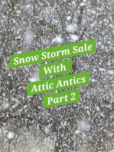Snow Storm Sale Part 2