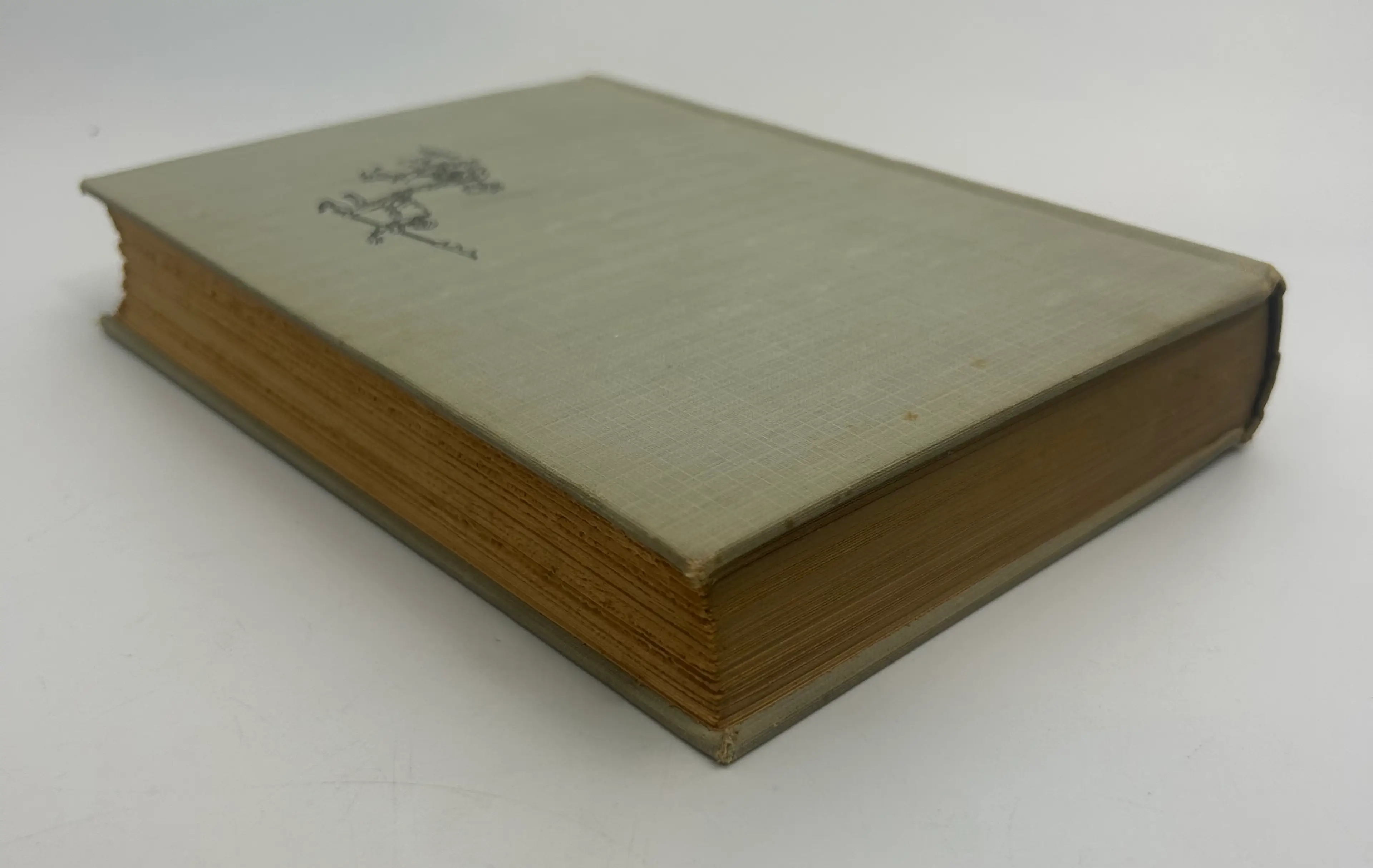 Image 4 of 12
