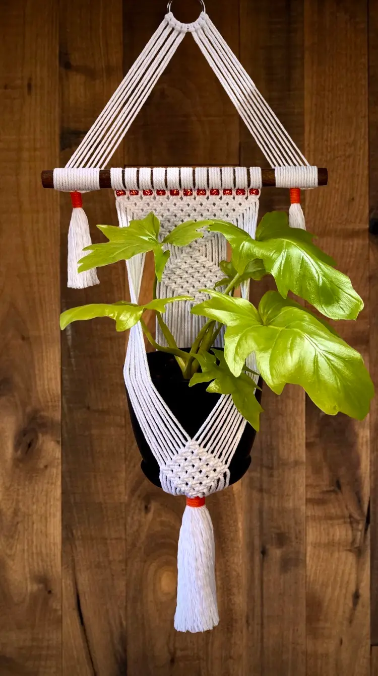 Handmade Macrame Plant Hanger with Beads - Wall Mounted