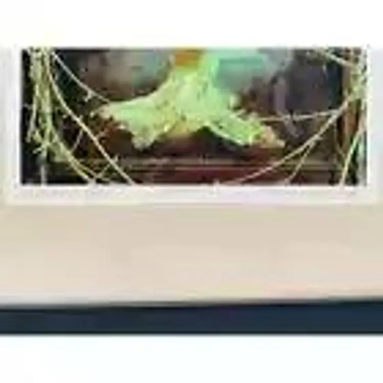 Artist-Signed Print "The Secret Place" by Artist Deborah Drake-Huff