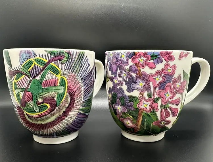Set Of 2 Portmeirion Eden Flower 12oz. Cups