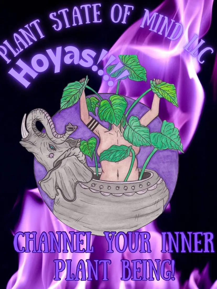 Livestream thumbnail