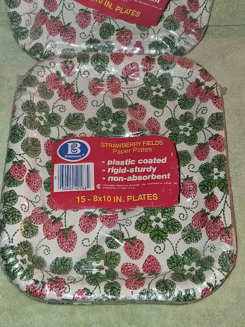 Vintage Bondware 3 Compartment Paper Plates🍓 STRAWBERRY FIELDS 🍓1977