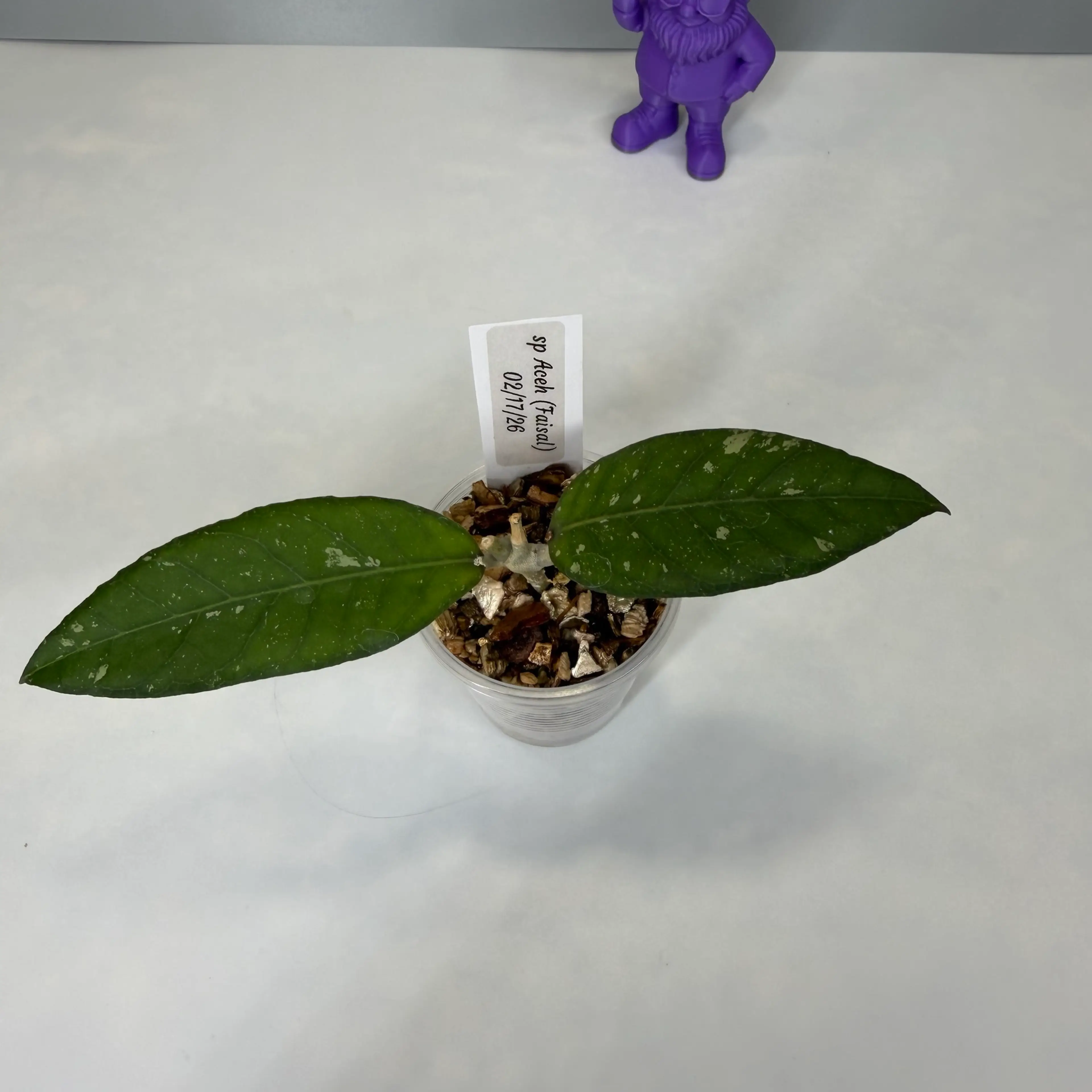 Image 2 of 2