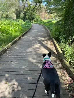 #13 - $3 Random Clothing Pull