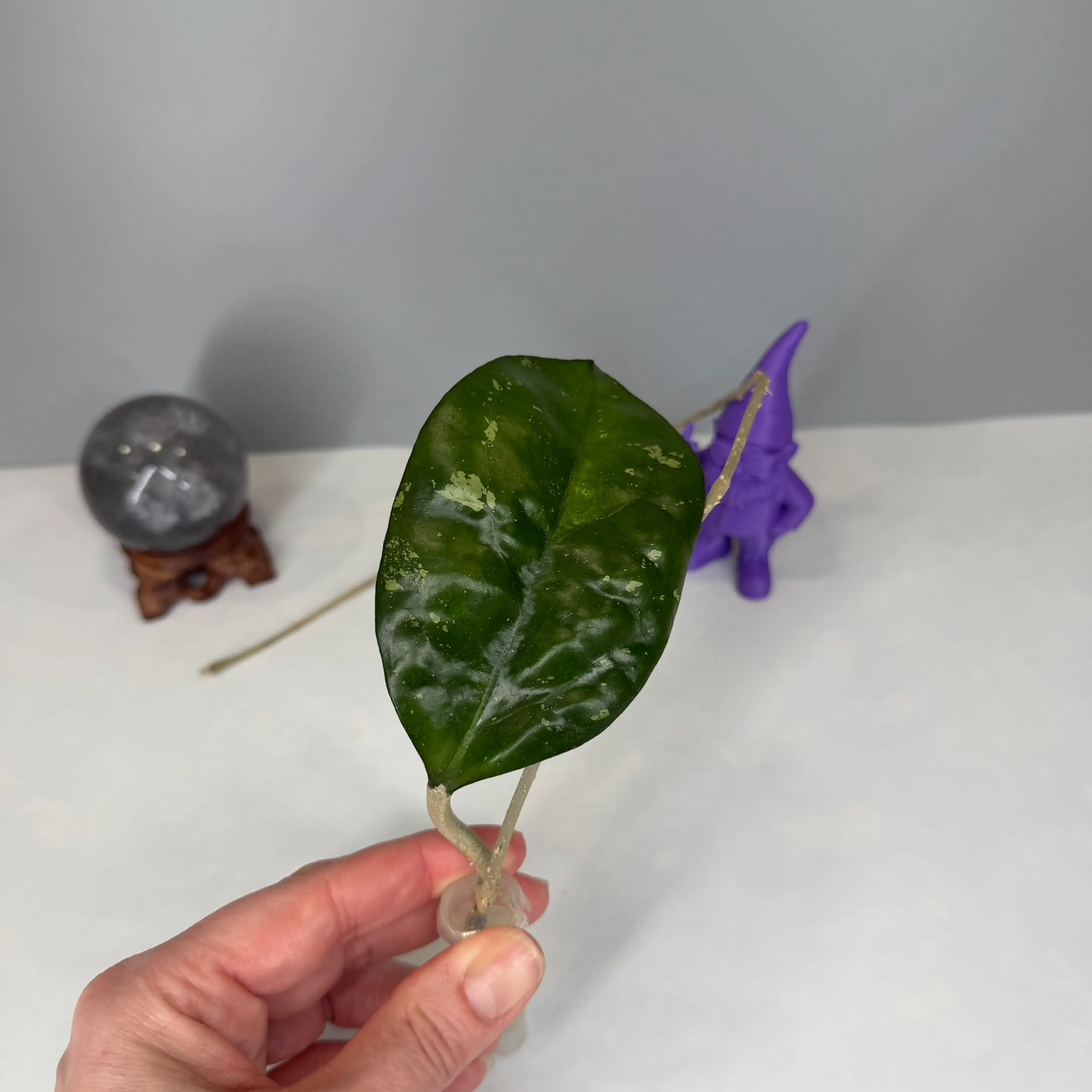 Image 2 of 4