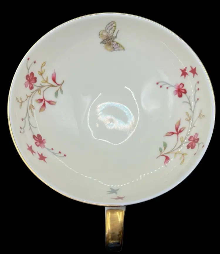 Vintage Eschenbach Germany Tea Cup and Saucer Lattice Pink Floral Butterfly Moth