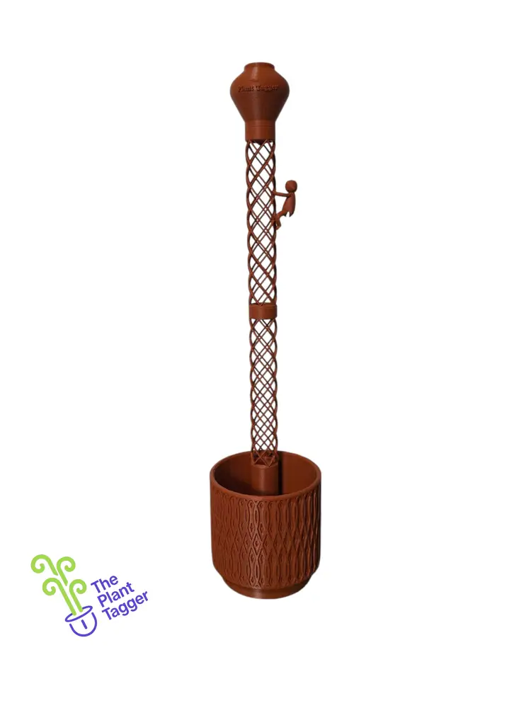 Pipeolé Speckled Cotta