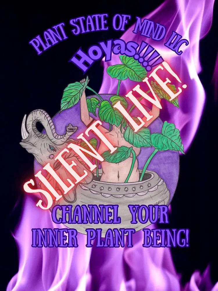 SILENT LIVE! Will Upload To Buy Now. Givys !