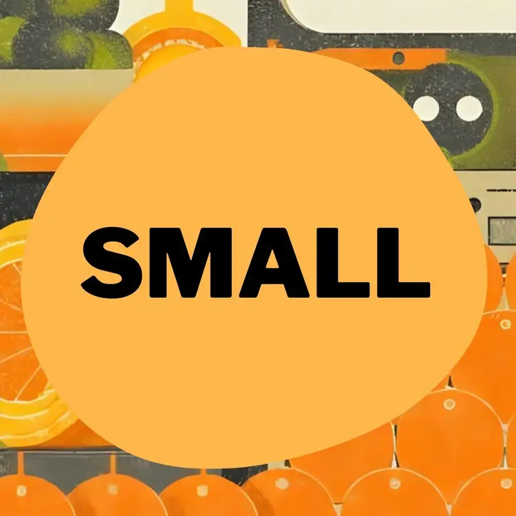 #115 - Brooch Clearance